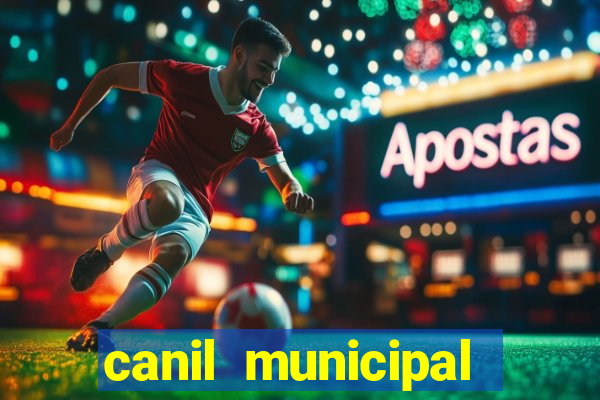 canil municipal porto alegre